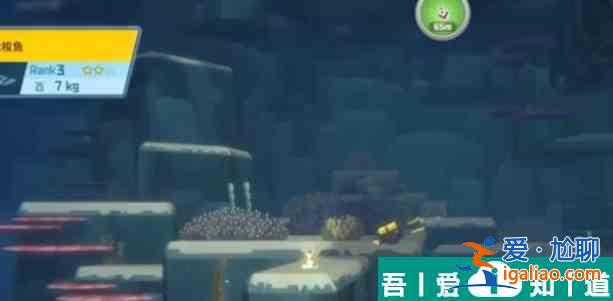 潛水員戴夫大梭魚開胃餅怎么制作 潛水員戴夫大梭魚開胃餅制作方法? 潛水員戴夫大梭魚開胃餅怎么制作 潛水員戴夫大梭魚開胃餅制作方法?