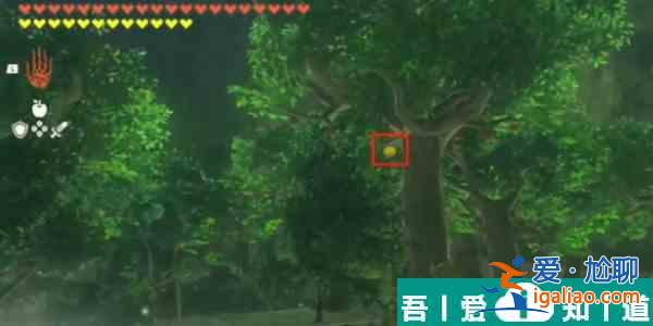 塞爾達傳說王國之淚金蘋果怎么獲得  塞爾達傳說王國之淚金蘋果獲得方法？