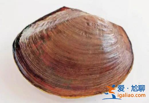入侵物種擠占生存空間？