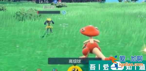 寶可夢朱紫利歐路在哪里捕捉 寶可夢朱紫利歐路捕捉位置? 寶可夢朱紫利歐路在哪里捕捉 寶可夢朱紫利歐路捕捉位置?