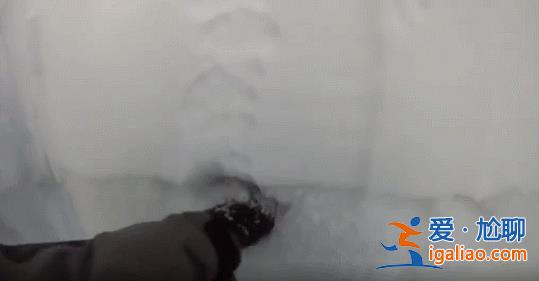 2名游客擅自在道外滑野雪造成雪崩！新疆喀納斯景區通報來了？
