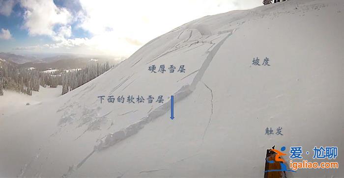 2名游客擅自在道外滑野雪造成雪崩！新疆喀納斯景區通報來了？