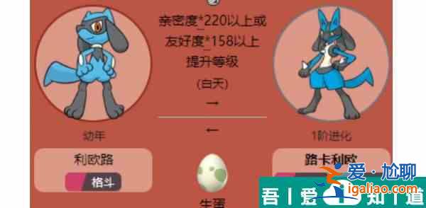 寶可夢朱紫路卡利歐怎么進化 寶可夢朱紫路卡利歐進化方法? 寶可夢朱紫路卡利歐怎么進化 寶可夢朱紫路卡利歐進化方法?