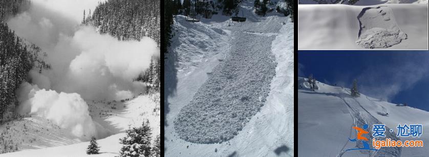 2名游客擅自在道外滑野雪造成雪崩！新疆喀納斯景區通報來了？