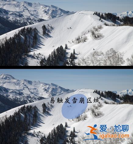 2名游客擅自在道外滑野雪造成雪崩！新疆喀納斯景區通報來了？