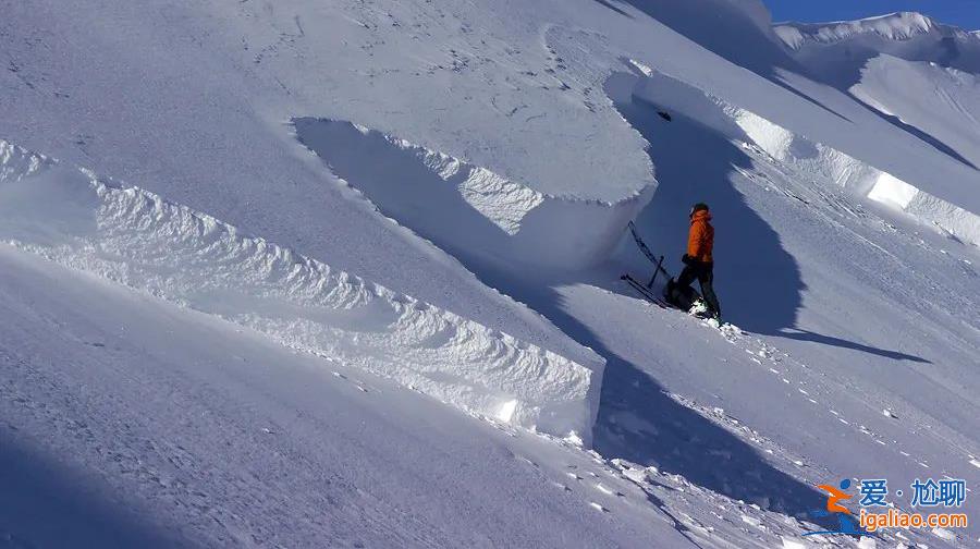 2名游客擅自在道外滑野雪造成雪崩！新疆喀納斯景區通報來了？
