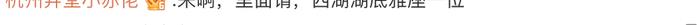 春節(jié)游客量上漲！杭州西湖2天撈起17部手機(jī) 1副眼鏡和1張身份證？