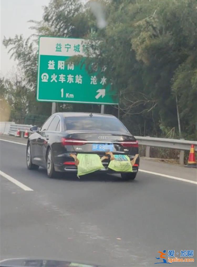 開車返程后備廂被家人塞滿土特產 車尾掛了四只大鴨子？