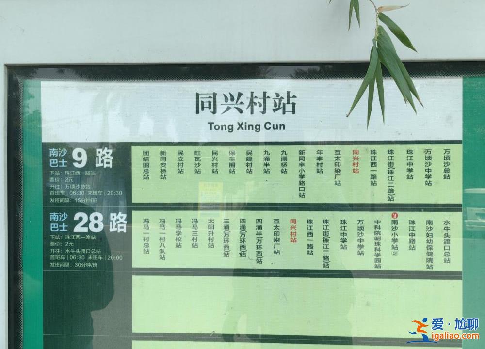 那是首班車 平時乘客以島上學生為主？