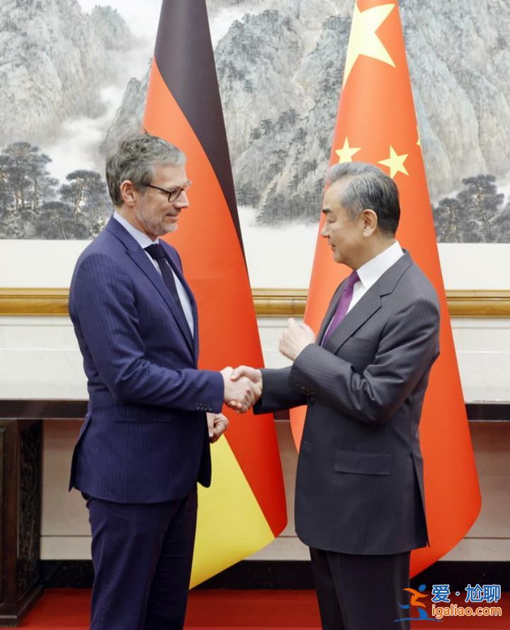 王毅為什么沒參加G20外長會？？