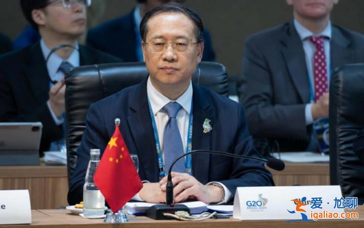 王毅為什么沒參加G20外長會？？