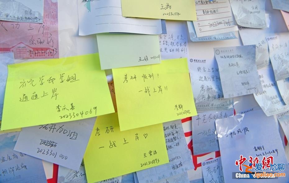 查分進行時！多地今起公布2024考研成績？