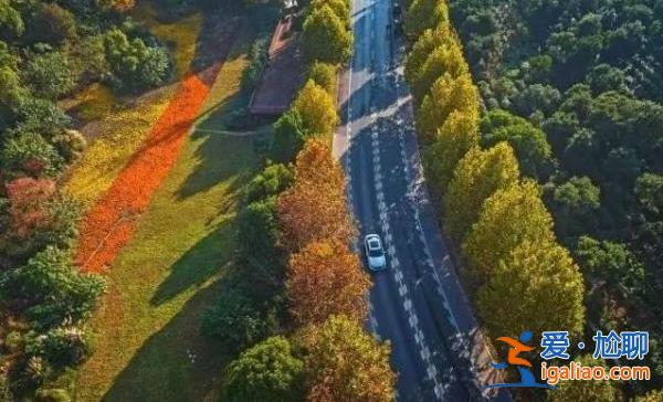 不得擺攤設點、打場曬糧? 不得擺攤設點、打場曬糧?