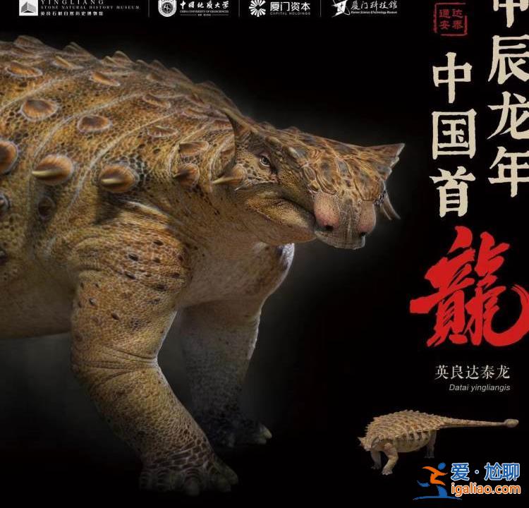 攻防一體的“坦克龍”！甲辰龍年中國發現的“首龍”是它？