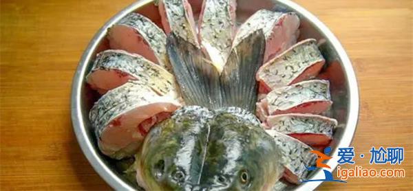 海魚比淡水魚更有營養?海魚比淡水魚腥味重嗎[淡水魚]？