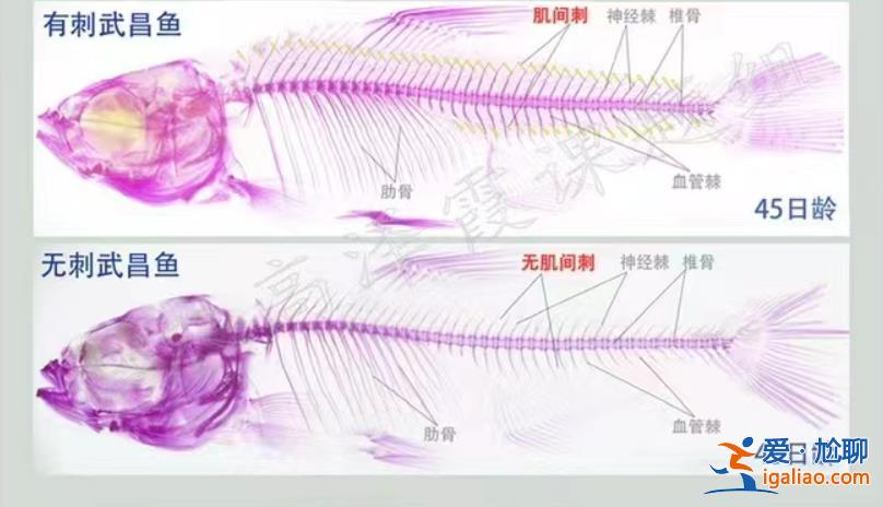 上鏈接？