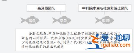 上鏈接？