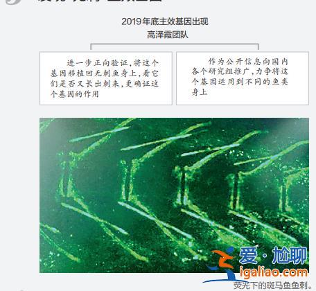 上鏈接？