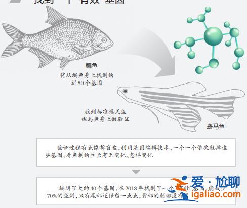 上鏈接？