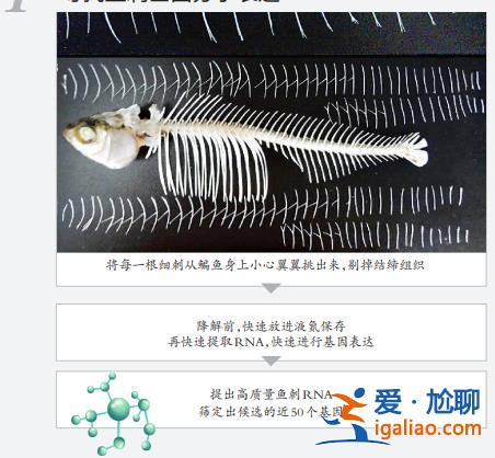 上鏈接？