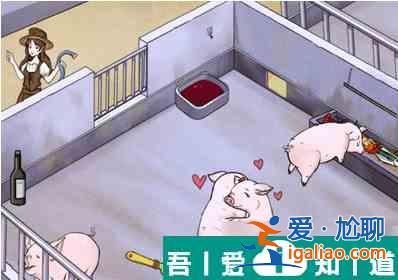 瘋狂梗傳養豬場   瘋狂梗傳養豬場過關攻略？