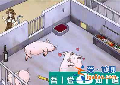 瘋狂梗傳養豬場   瘋狂梗傳養豬場過關攻略？