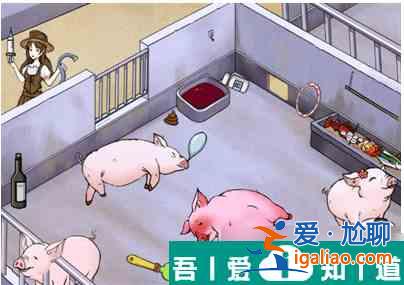 瘋狂梗傳養豬場   瘋狂梗傳養豬場過關攻略？