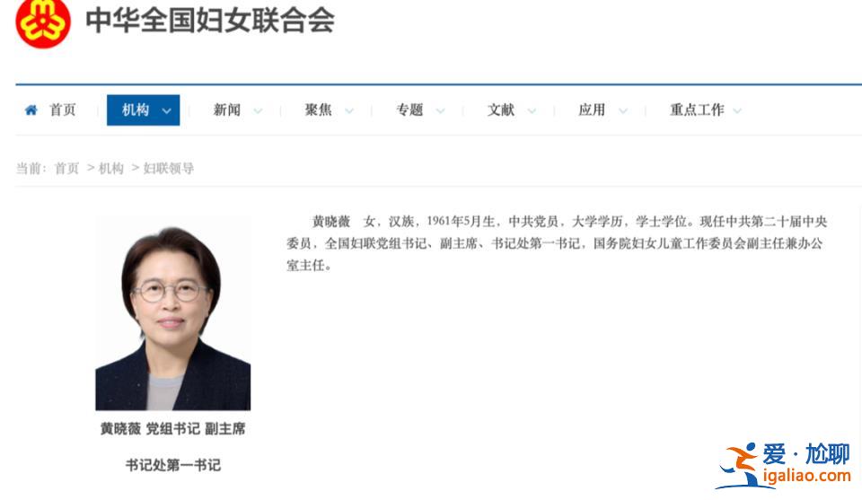 經黨中央批準 正部級女將以這一身份率團出國？