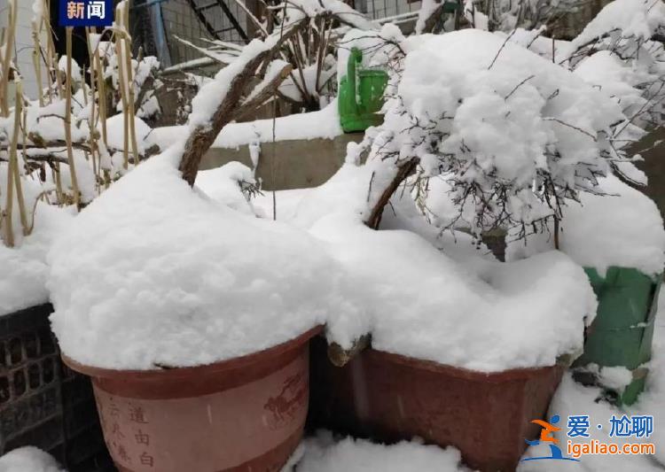 暴雪！暴雨！最高降溫10℃！新一輪陰雨天氣即將上線？