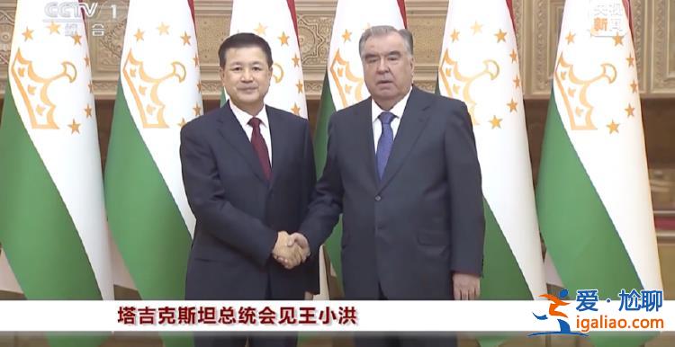 公安部部長(zhǎng)王小洪出國(guó) 有幾個(gè)重要細(xì)節(jié)？