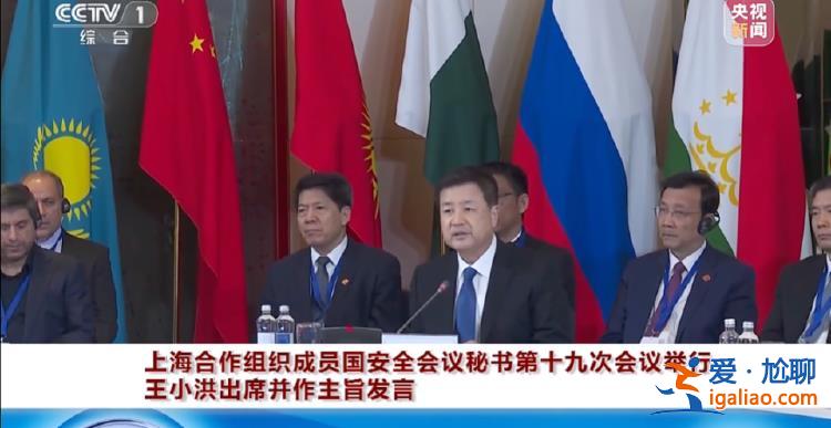 公安部部長(zhǎng)王小洪出國(guó) 有幾個(gè)重要細(xì)節(jié)？