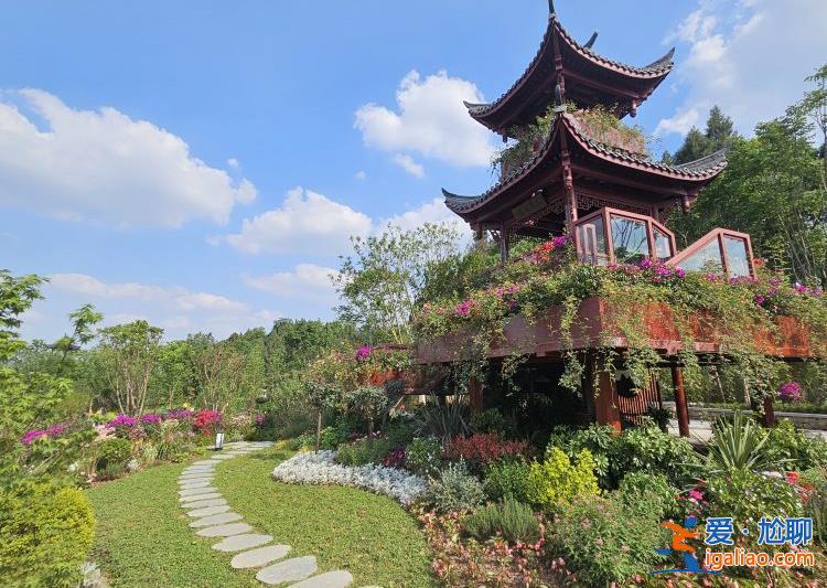 成都世園會開幕 記者打卡重慶園體驗山城江城之美？