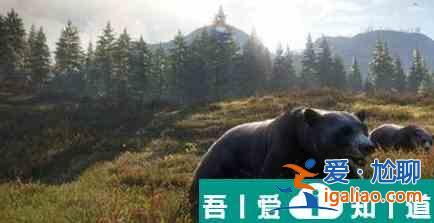 獵人荒野的呼喚密西西比的東部白尾灰兔位置一覽 具體介紹？