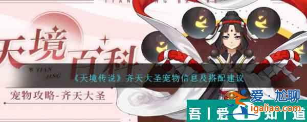 天境傳說齊天大圣寵物信息及搭配建議 具體一覽？