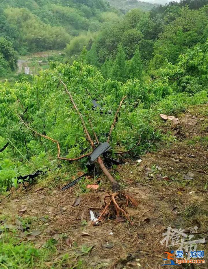 浙江夫妻開特斯拉沖下山路身亡 現場無制動痕跡 行車記錄儀數據消失？