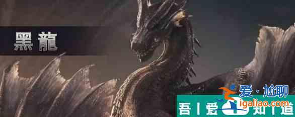 怪物獵人世界黑龍任務(wù)怎么接 黑龍任務(wù)接取方法？