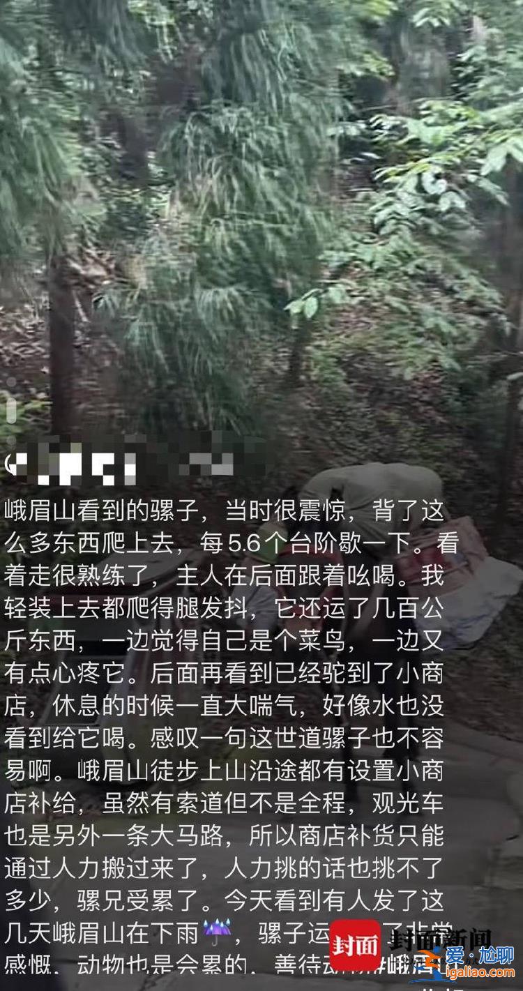 是村民的家畜 健康狀況良好？