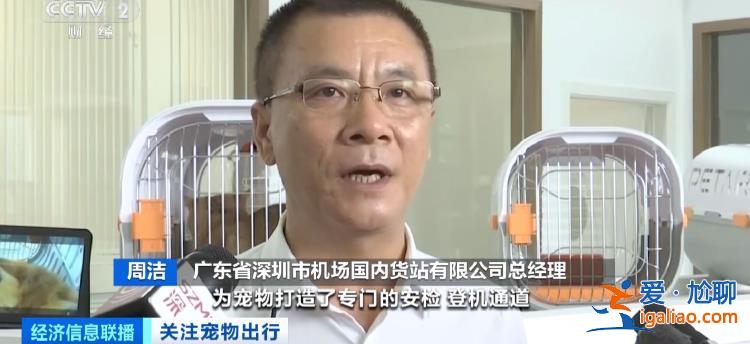 貓狗分區 獨立候機 全國首家寵物候機廳在深圳機場啟用？