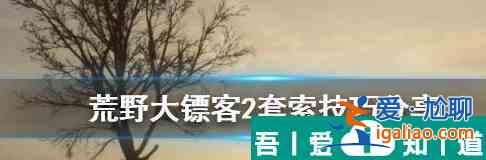 荒野大鏢客2怎么使用套索 野大鏢客2套索技巧？