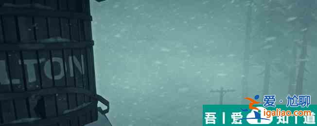 漫漫長夜胡須地衣傷口敷料用途一覽 具體介紹? 漫漫長夜胡須地衣傷口敷料用途一覽 具體介紹?