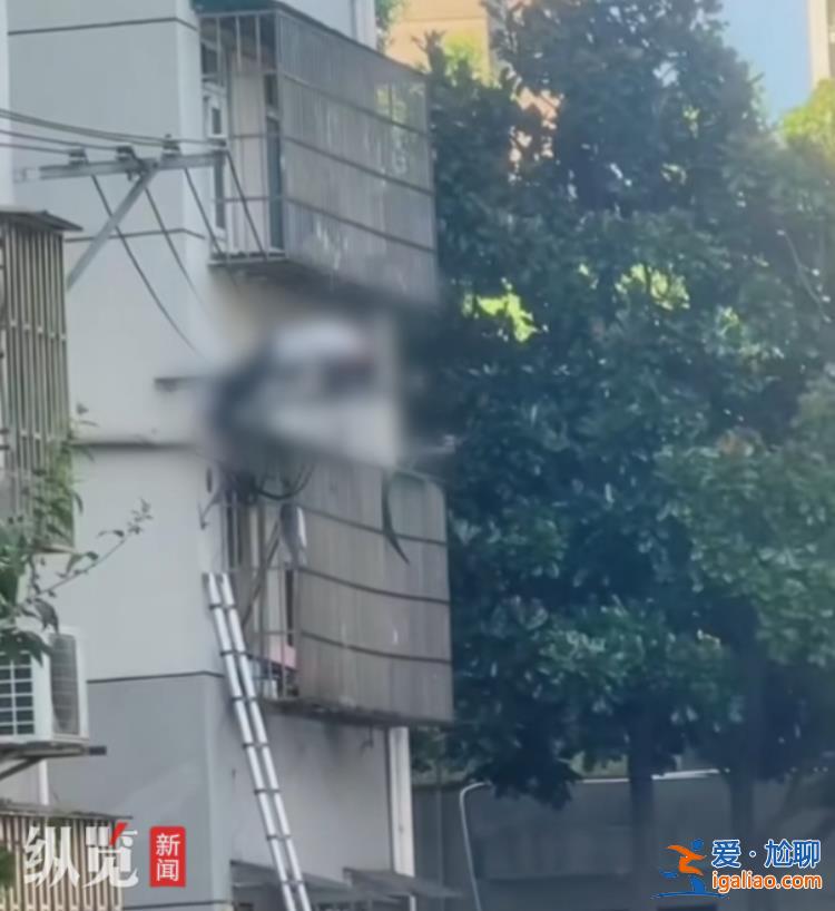 系加裝電梯時觸電致死？