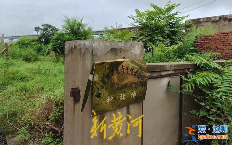 種豬場因高鐵施工倒閉 企業主稱損失超千萬 施工方補償僅5萬元？