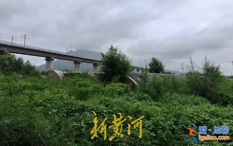 種豬場因高鐵施工倒閉 企業主稱損失超千萬 施工方補償僅5萬元？