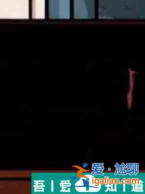 隱秘的檔案盒子通關攻略 具體一覽？