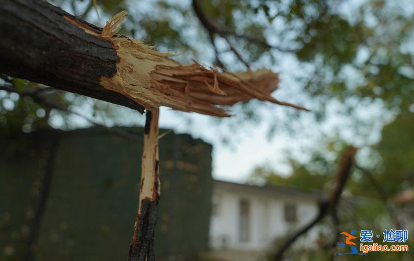 現場圖片!多枚航彈爆炸致我赴黎維和部隊營區受損? 現場圖片!多枚航彈爆炸致我赴黎維和部隊營區受損?
