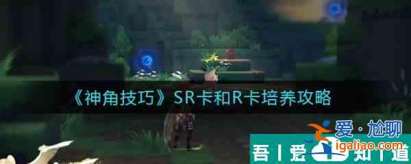 神角技巧SR卡和R卡培養攻略 具體介紹？