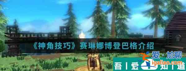 神角技巧賽琳娜博登巴格怎么樣 神角技巧賽琳娜博登巴格介紹？