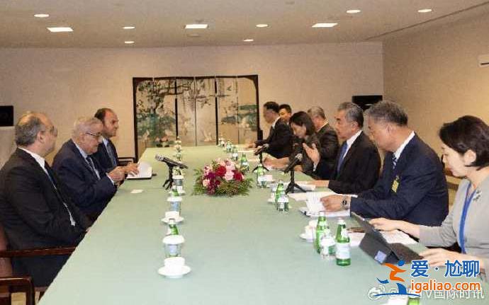 王毅會見黎巴嫩外長 重點就中東局勢交換意見？