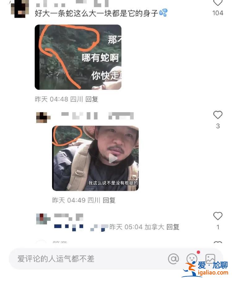是樹根？
