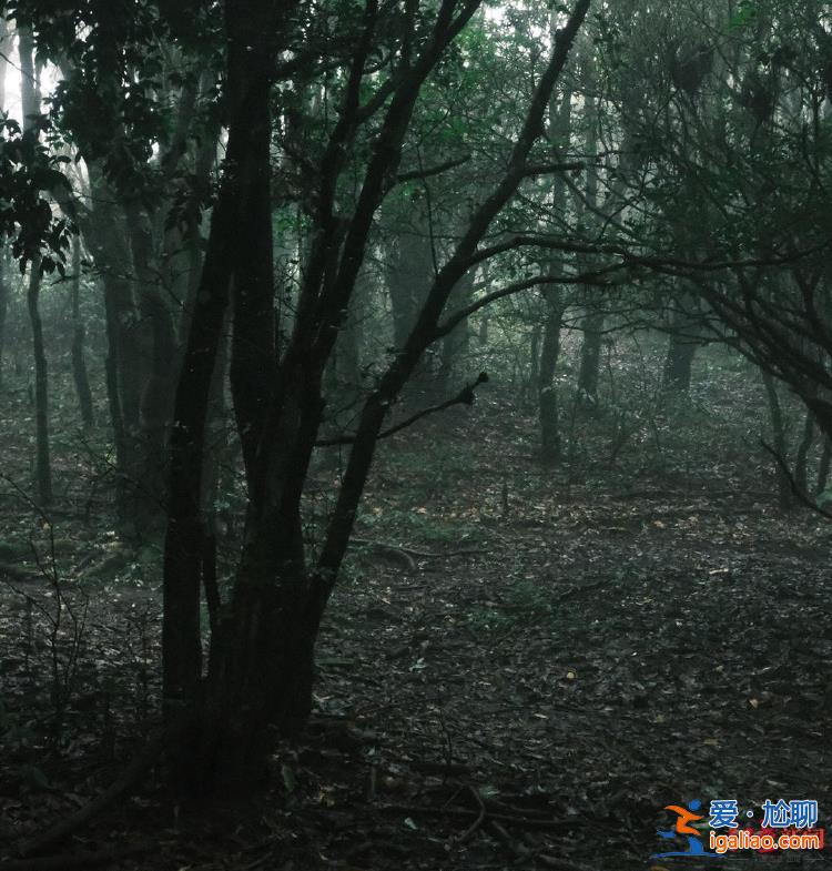 部分區(qū)域已被開發(fā)成景區(qū) 當(dāng)?shù)厝瞬桓屹Q(mào)然進(jìn)入深山？